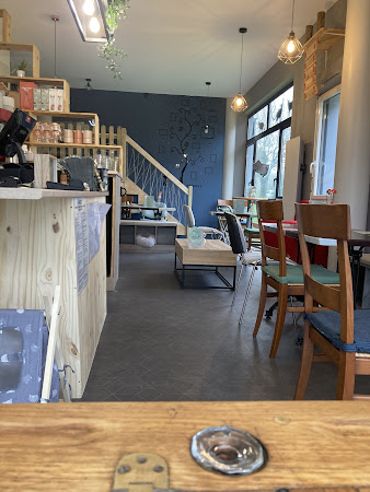 photo de Bar à chats - Le café du Chat'Ô - Plescop à Plescop