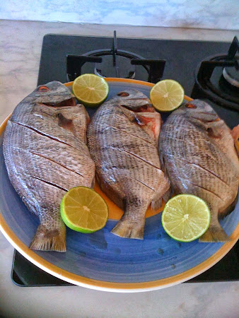 photo de CHRISTAYA-FISH à La Barben