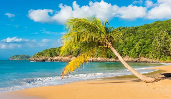 GUADELOUPE 1 restaurants