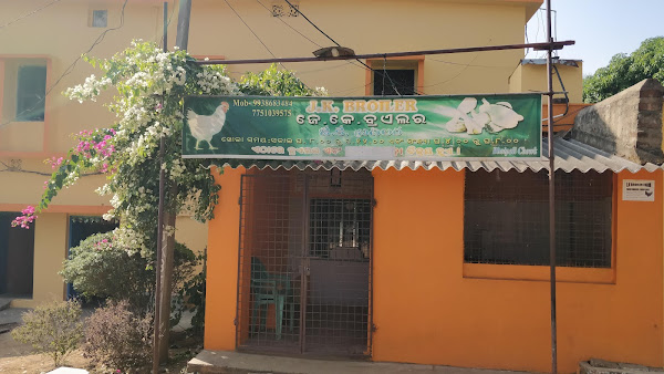 photo de JK Broiler Chicken Shop à Saranda