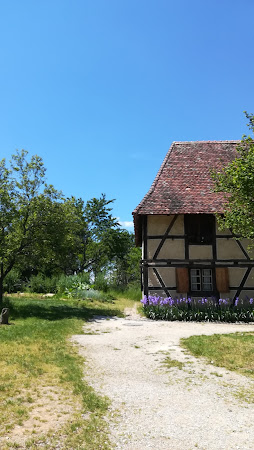 photo de L'estive à Nancray