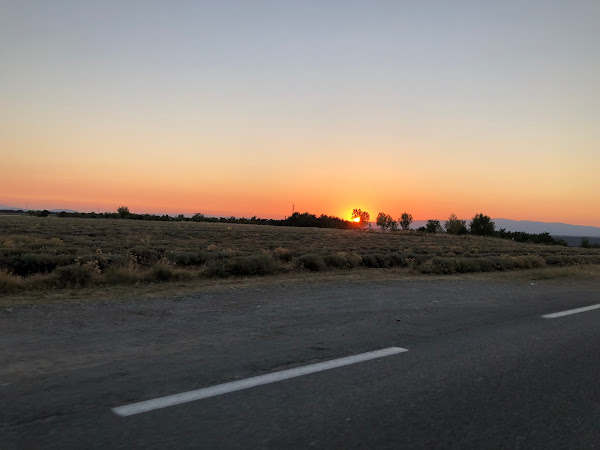 photo de La campagne de Petre à Oraison