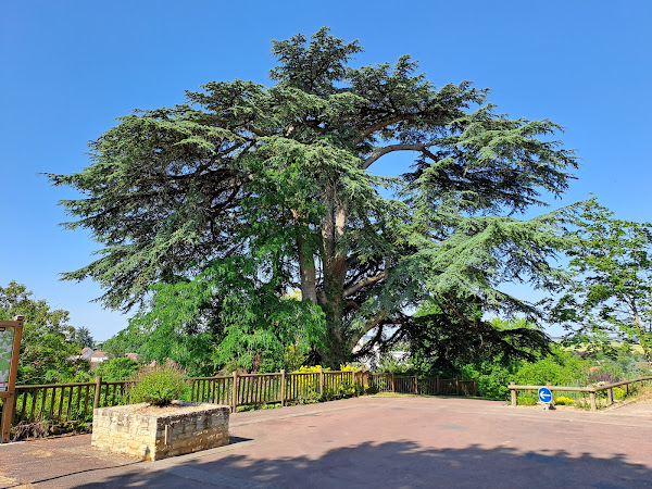photo de La tour carrée à Loudun