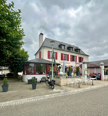photo de LES PLATANES D'IBOS à Ibos