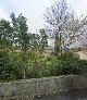 photo de Les Platanes à Montarnaud