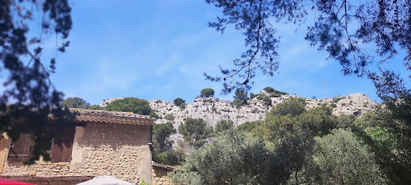 photo de Restaurant du Domaine de Roquerousse à Salon-de-Provence